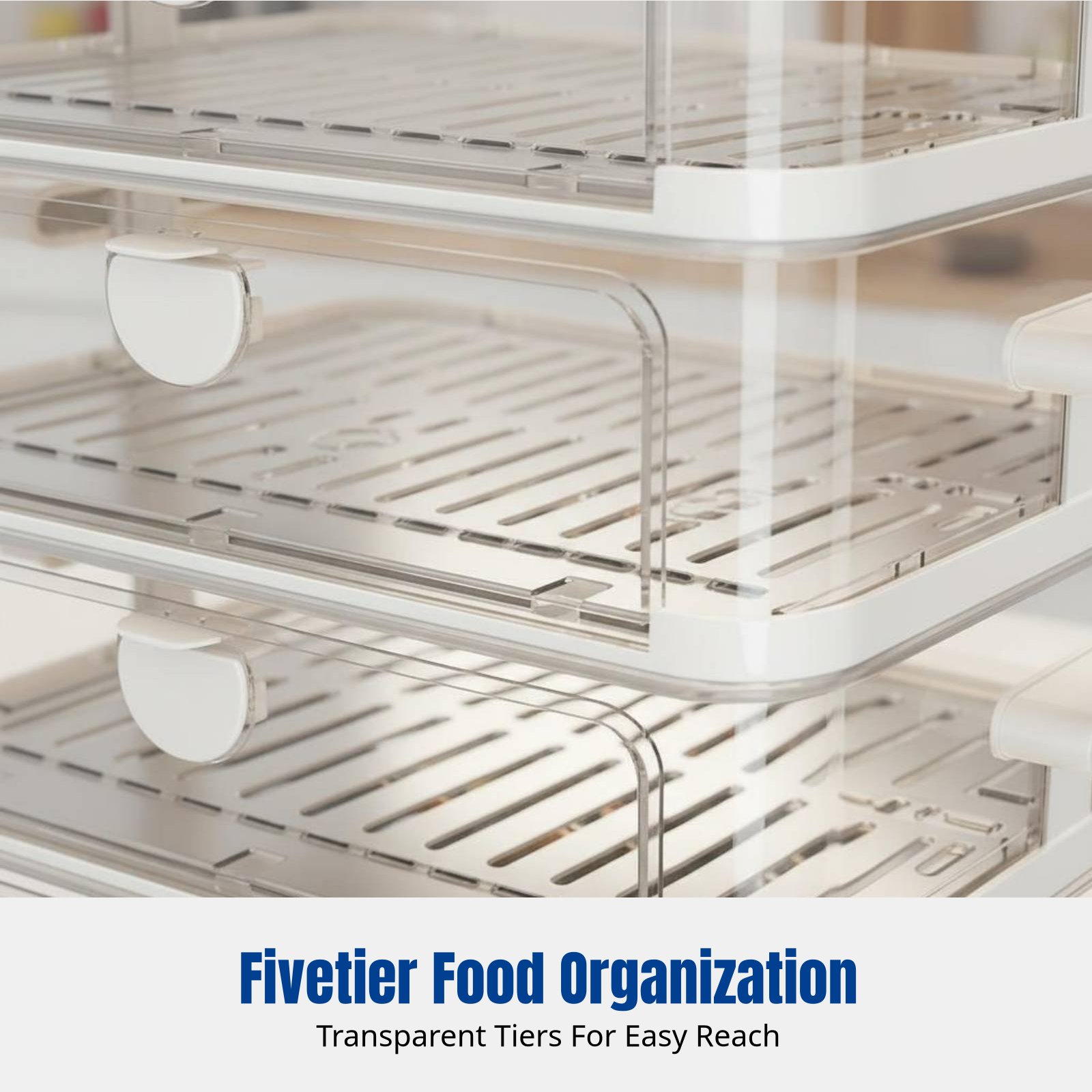 غطاء تسخين الطعام الكهربائي، ص - مراجعة Food Storage Table وسعره
